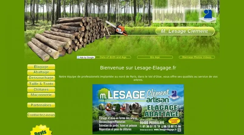 Entreprise d'élagage à Pierrelaye