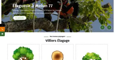 Élagage Villiers